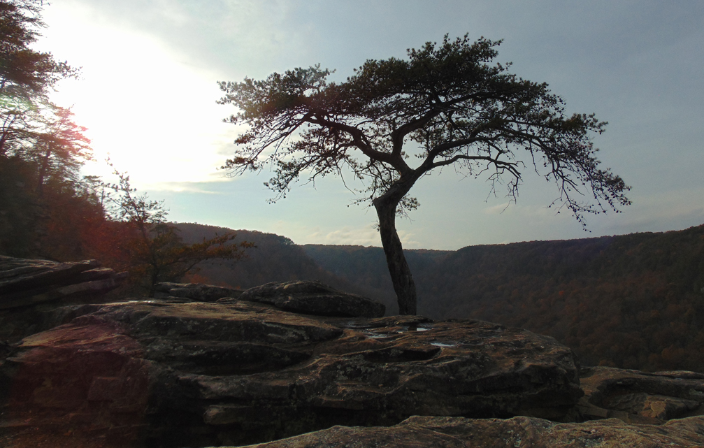 Baby Sleep with downtempo